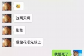 容城企业清欠服务